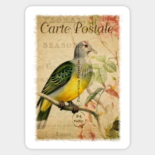 The Pigeon - Vintage French Postcard Sticker